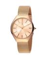 Just Cavalli Women's Quartz Rose Gold Color Watch Model JC1L026M0095