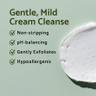 Centella Mild Cleansing Foam 120ml