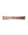 PERIPERA ALL TAKE MOOD PALETTE #13 FALL IN ACORN