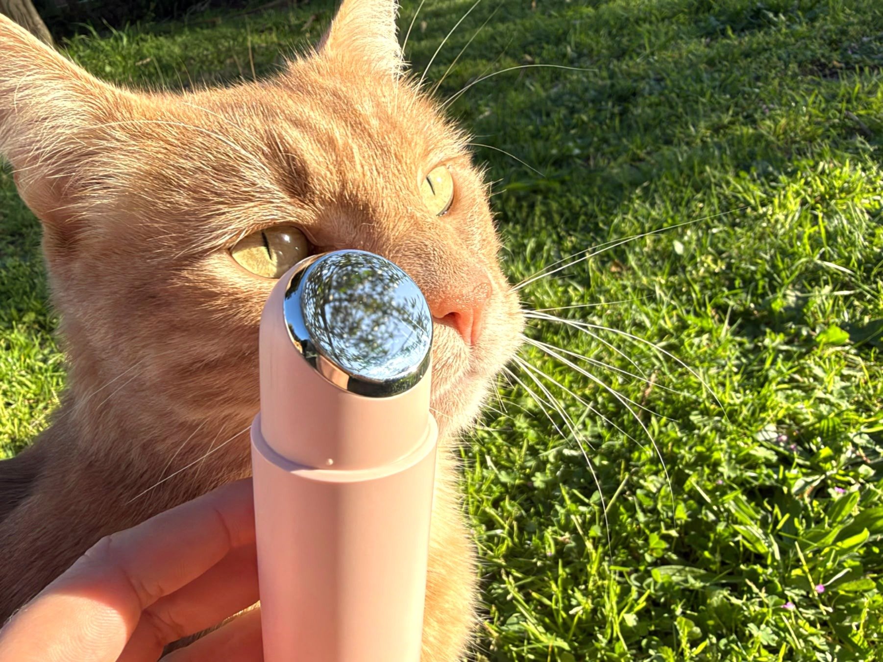 Thome Twenty Up Pink Review - A Device for Acne?