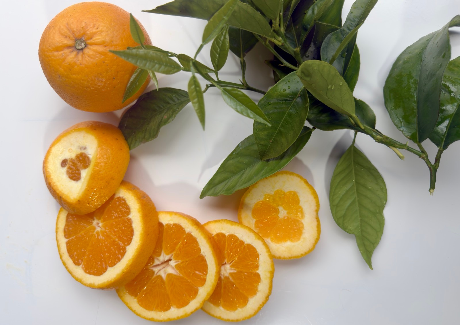 Refreshing slices of orange rich in vitamin C
