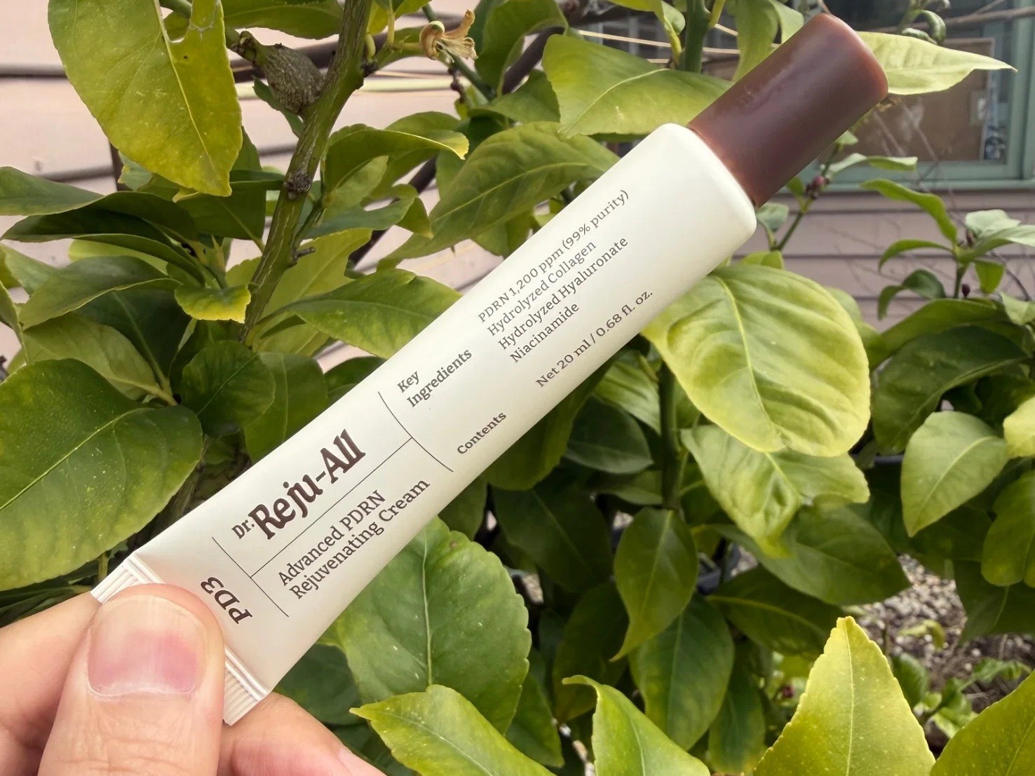 Dr Reju-All PDRN Cream Review