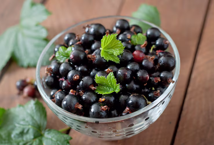 Bowl of dark, shiny blackcurrants