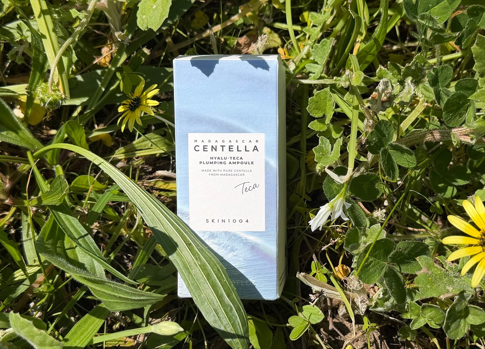 SKIN1004 Madagascar Centella Hyalu-Teca Plumping Ampoule box standing upright outdoors surrounded by green leaves and yellow wildflowers