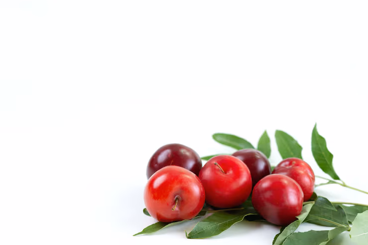 Fresh Cranberries and Leaves in a blank background
