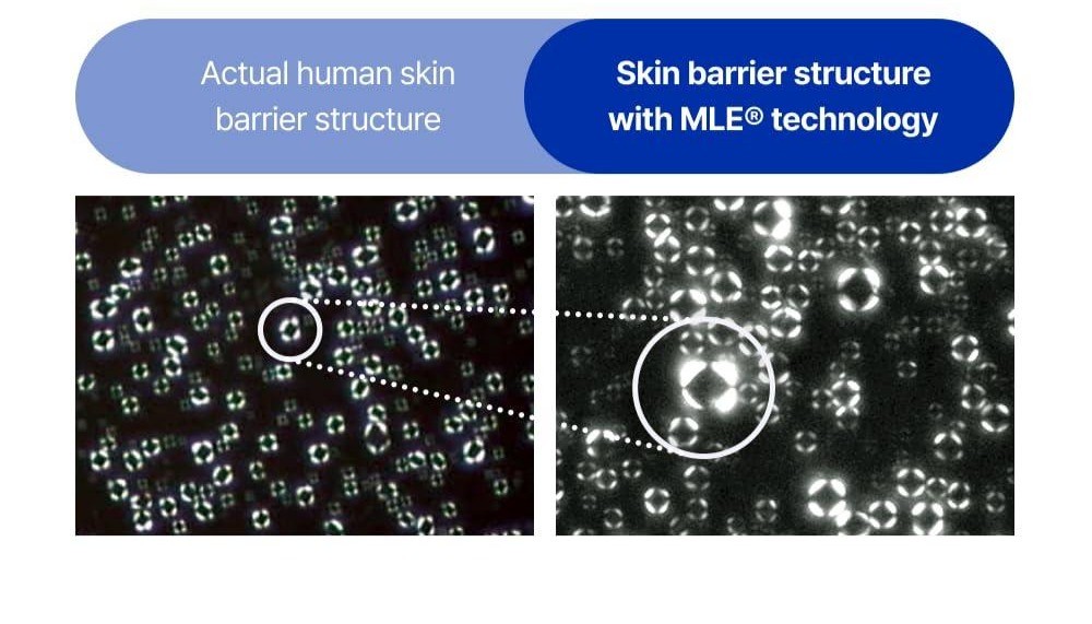 Science of Real Barrier MLE shown similarity of structures between skin and cosmetics