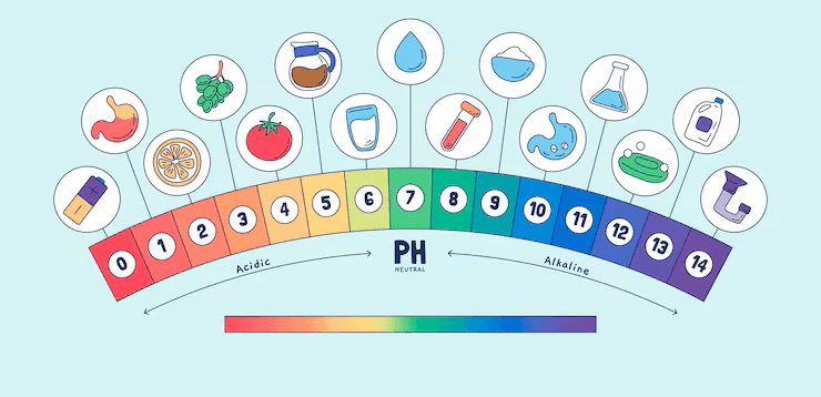pH scale showing images for what matches the acid/alkaline environment