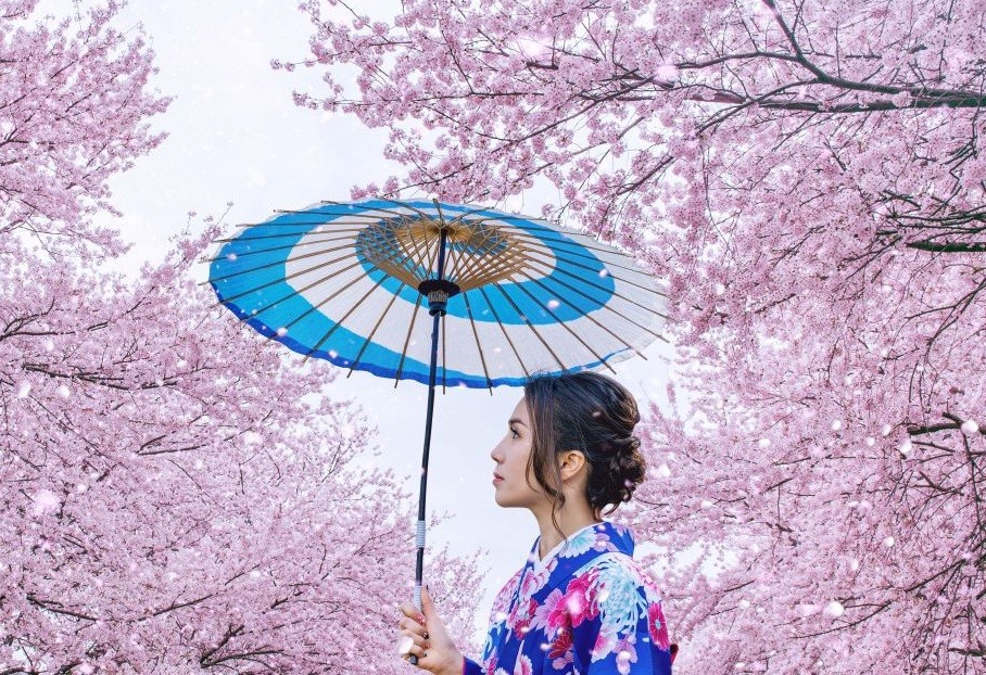 Beautiful woman in traditional dress standing beneath flowering cherry blossom trees