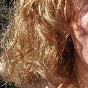 Hair before using treatment - frizzy and blonde