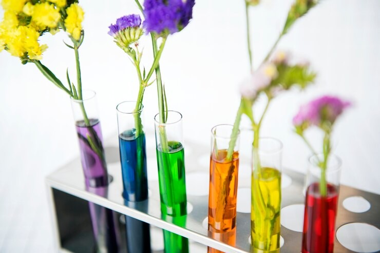 Multiple colored flowers in rainbow test tubes