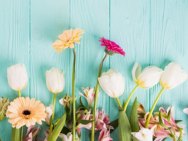 Flower Power – The Power of Our Favourite Flowers and How They Rejuvenate Dull, Dry Skin