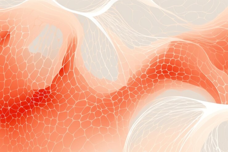 Microscope close-up of skin cell layers