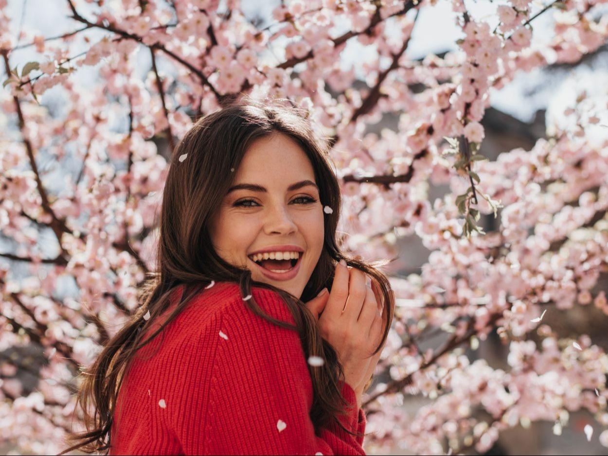 Best Korean Skincare Spring Deals (K-Beauty Sale)